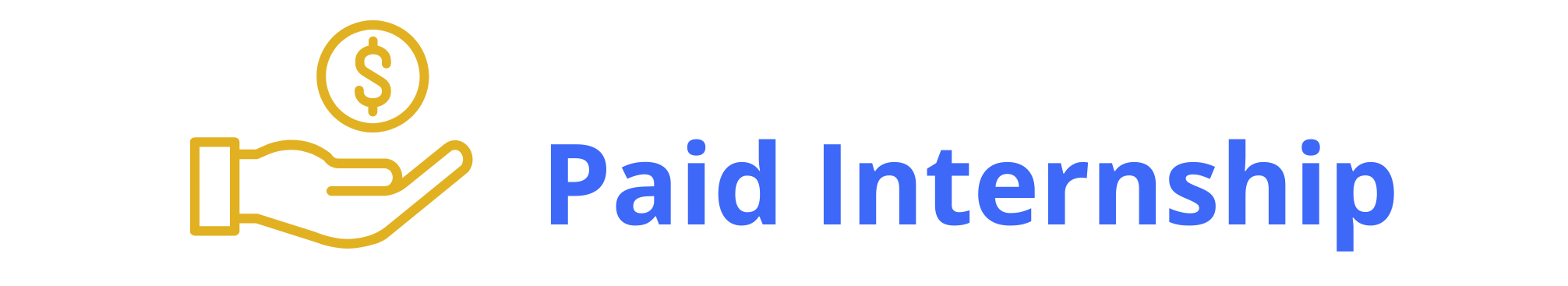 Paid internship